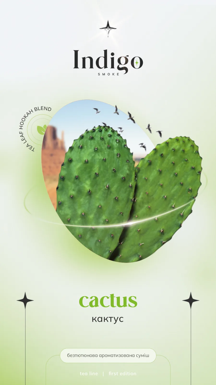 Indigo 100г New Cactus - Кактус