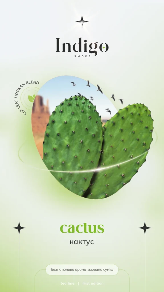 Indigo 100г New Cactus - Кактус