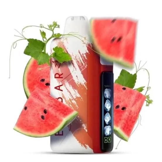 Elf Bar Nic King 30.000 - Watermelon Ice
