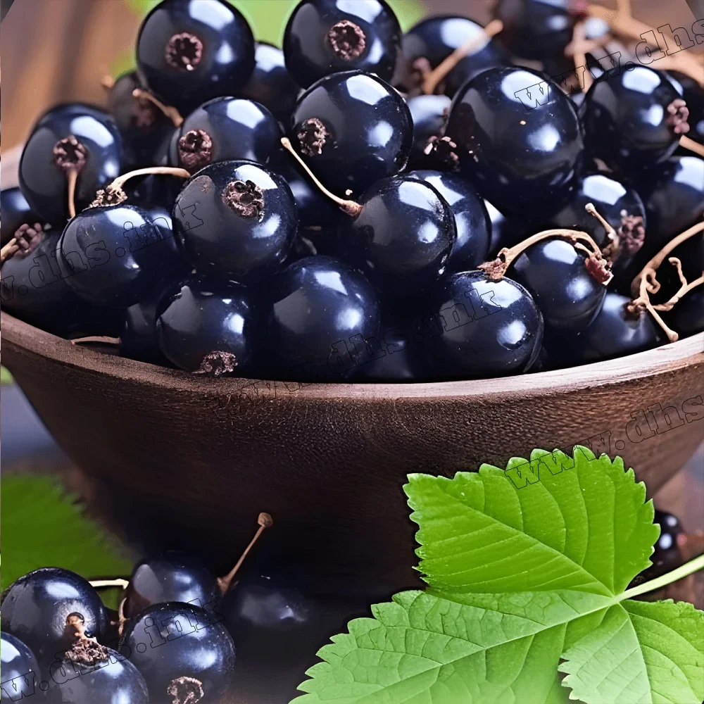 Palladium - Black currant 125g